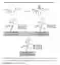Fig. 04 - Z-selective ring-closing metathesis reactions