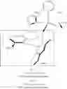Fig. 219 - Z-selective ring-closing metathesis reactions