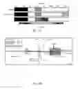 Fig. 04 - COMPLEXES COMPRISING A PLATINUM COMPOUND AND AN IMMUNE CHECKPOINT INHIBITOR AND RELATED METHODS