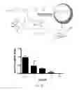 Fig. 06 - COMPLEXES COMPRISING A PLATINUM COMPOUND AND AN IMMUNE CHECKPOINT INHIBITOR AND RELATED METHODS