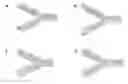 Fig. 01 - IL-6-binding polypeptide complex