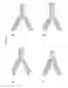 Fig. 56 - IL-6-binding polypeptide complex