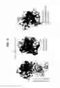 Fig. 11 - Cystine knot scaffold platform