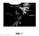 Fig. 02 - COMPOSITIONS AND METHODS FOR MODULATING NEURONAL DEGENERATION