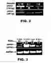 Fig. 03 - COMPOSITIONS AND METHODS FOR MODULATING NEURONAL DEGENERATION