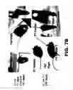 Fig. 08 - COMPOSITIONS AND METHODS FOR MODULATING NEURONAL DEGENERATION