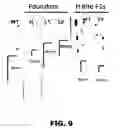Fig. 10 - COMPOSITIONS AND METHODS FOR MODULATING NEURONAL DEGENERATION