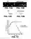 Fig. 14 - COMPOSITIONS AND METHODS FOR MODULATING NEURONAL DEGENERATION