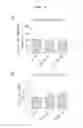 Fig. 05 - METHOD FOR PREPARING RECOMBINANT GLYCOPROTEIN HAVING HIGH SIALIC ACID CONTENT, THROUGH GLYCOSPHINGOLIPID SYNTHESIS CYCLE CONTROL