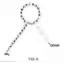 Fig. 07 - Natriuretic polypeptides