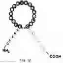 Fig. 13 - Natriuretic polypeptides
