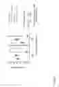 Fig. 04 - Treatment of polybacterial infections