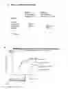 Fig. 29 - METHOD FOR REDUCING THE IMMUNE RESPONSE TO A BIOLOGICALLY ACTIVE PROTEIN