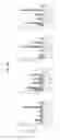Fig. 12 - REGULATING THE INTERACTION BETWEEN TAM LIGANDS AND LIPID MEMBRANES WITH EXPOSED PHOSPHATIDYL SERINE