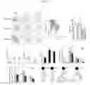 Fig. 03 - Antibody