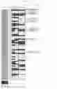 Fig. 09 - Antibody