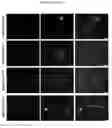 Fig. 22 - Antibody