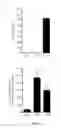 Fig. 06 - Antibodies directed against CD127