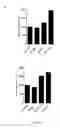 Fig. 08 - Antibodies directed against CD127