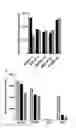 Fig. 17 - Antibodies directed against CD127