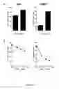 Fig. 20 - Antibodies directed against CD127