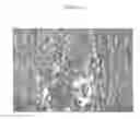 Fig. 25 - Uses of monoclonal antibody 8H9