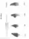 Fig. 36 - Uses of monoclonal antibody 8H9