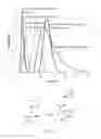 Fig. 09 - IMPROVED POPPET FOR CRYOGENIC FLUID COUPLING