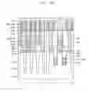 Fig. 28 - Methods of forming patterns of semiconductor devices