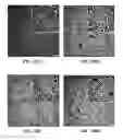 Fig. 13 - Alkylamine-gold nanoparticles having tunable electrical and optical properties