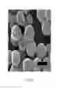 Fig. 04 - Anisotropic and amphiphilic particles and methods for producing and using the same