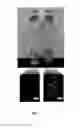 Fig. 13 - Anisotropic and amphiphilic particles and methods for producing and using the same