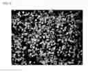 Fig. 02 - Method for manufacturing polydioxanone particles for filler