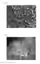 Fig. 03 - Method for manufacturing polydioxanone particles for filler