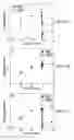 Fig. 18 - Electrochemical isomerization of muconic acid