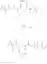 Fig. 97 - Bioadvantaged nylon: polycondensation of 3-hexenedioic acid with hexamethylenediamine