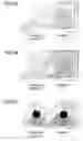 Fig. 02 - Wet gel and method of producing thereof