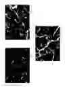 Fig. 06 - Carbon nanostructure preblends and their applications