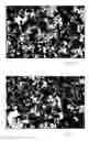 Fig. 07 - Carbon nanostructure preblends and their applications