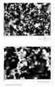 Fig. 09 - Carbon nanostructure preblends and their applications