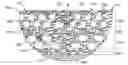Fig. 01 - Composition having mechanical property gradients at locations of polymer nanoparticles