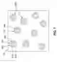 Fig. 06 - Composition having mechanical property gradients at locations of polymer nanoparticles