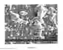 Fig. 08 - Glove coating and manufacturing process