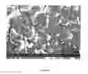 Fig. 09 - Glove coating and manufacturing process