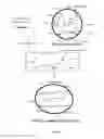 Fig. 02 - High solids, low viscosity urethane-linkage containing latex and method of production thereof