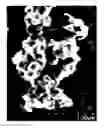Fig. 01 - Abrasive material