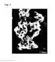 Fig. 02 - Abrasive material