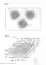 Fig. 02 - METHOD OF MANUFACTURING SURFACE-TREATED PHOSPHOR, SURFACE-TREATED PHOSPHOR, WAVELENGTH CONVERSION MEMBER, AND LIGHT EMISSION DEVICE
