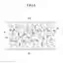 Fig. 07 - Liquid crystal composition, liquid display, and method of manufacturing liquid crystal display