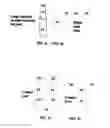 Fig. 04 - System and method for producing chemicals at high temperature